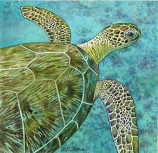 Green Sea Turtle