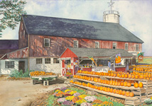 Pumpkin Farm