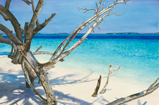 Maldives Beach