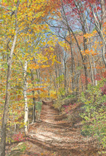 Horseshoe Trail
