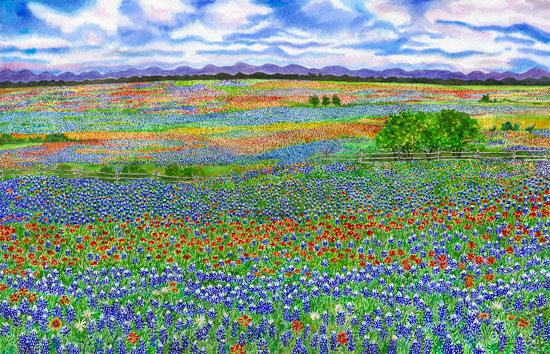 Bluebonnets