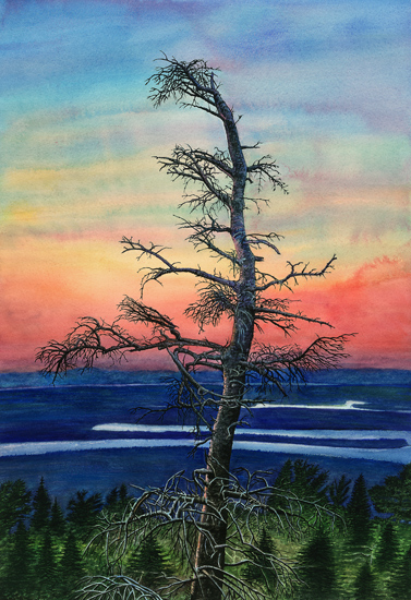 Cadillac Mountain