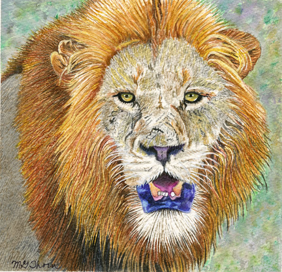 African Lion