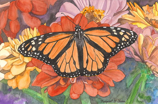 Monarch Butterfly