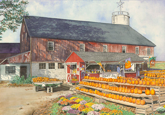 Pumpkin Farm