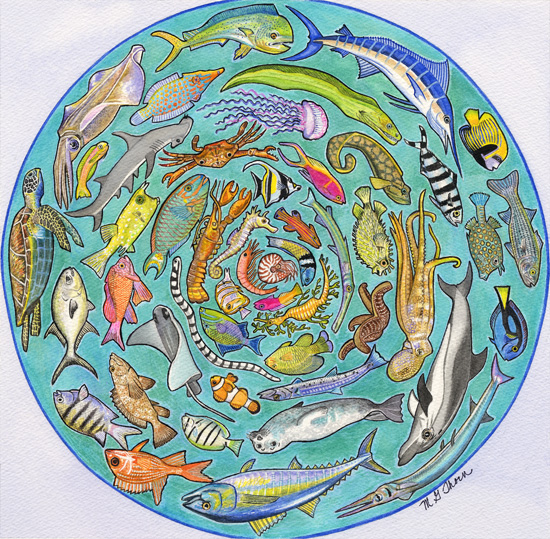Sea Life