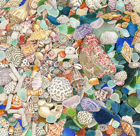 Seaglass and Seashells