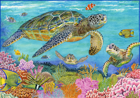 Green Sea Turtles