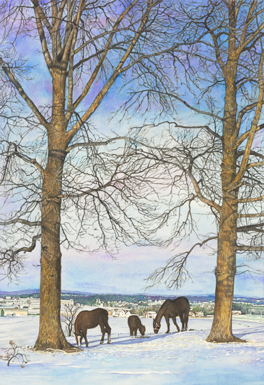 Winter Afternoon