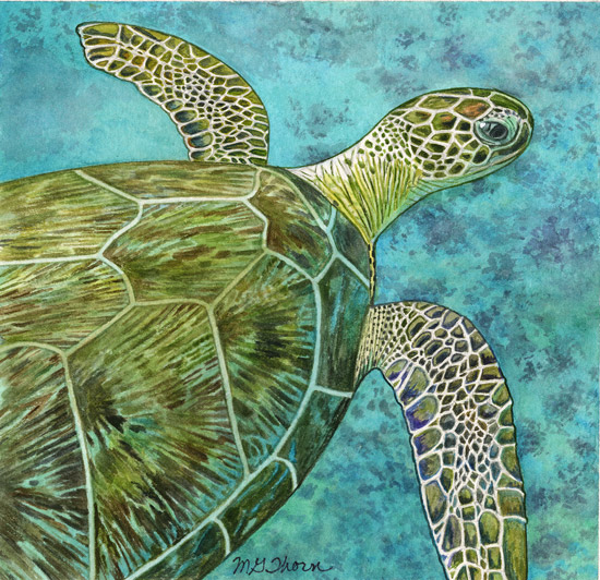 Green Sea Turtle