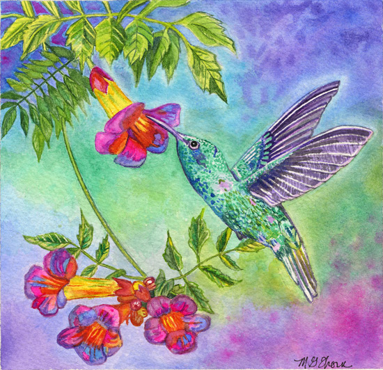 Hummingbird