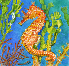 Seahorse